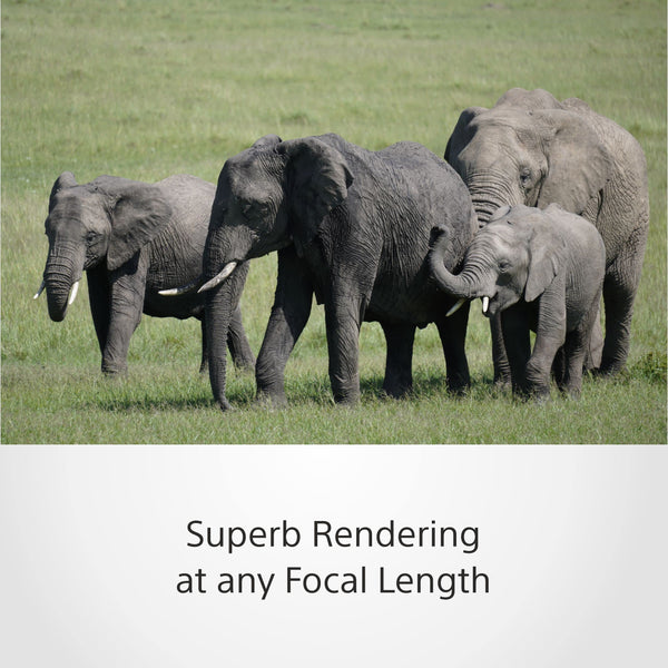 Sony E 70-350mm f/4.5-6.3 G OSS | APS-C, Zoom, Super Telephoto Lens (SEL70350G)