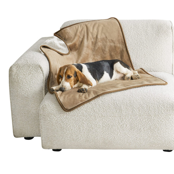 Lesure Waterproof Fleece Blanket Washable - 152x203cm Ultra Soft Grey Dog Blanket Over Sofa Bed Garden, Twin/Double Throw with Soft Plush, Fit All Season