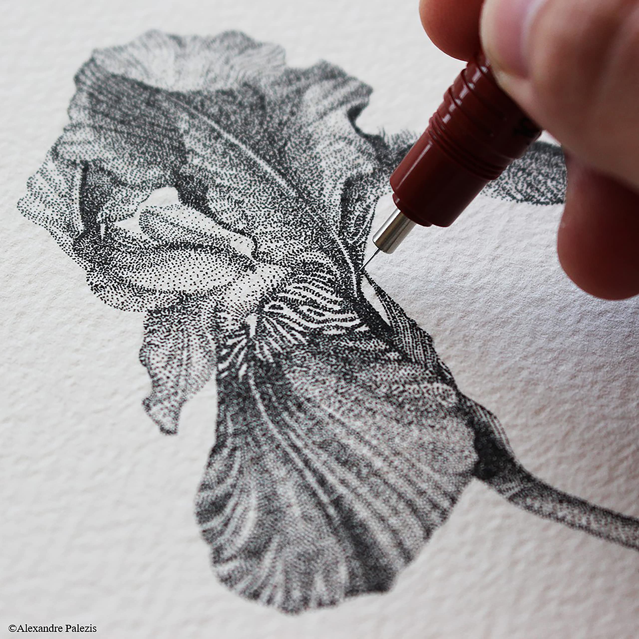 rOtring Isograph Pen Set Technical Pen & Pencil College Set | 3 Pens (0.20mm0.30mm0.50mm) and Mechanical Pencil (0.5mm) + Accessories