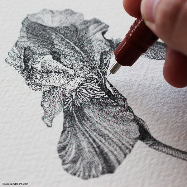 rOtring Isograph Pen Set Technical Pen & Pencil College Set | 3 Pens (0.20mm0.30mm0.50mm) and Mechanical Pencil (0.5mm) + Accessories