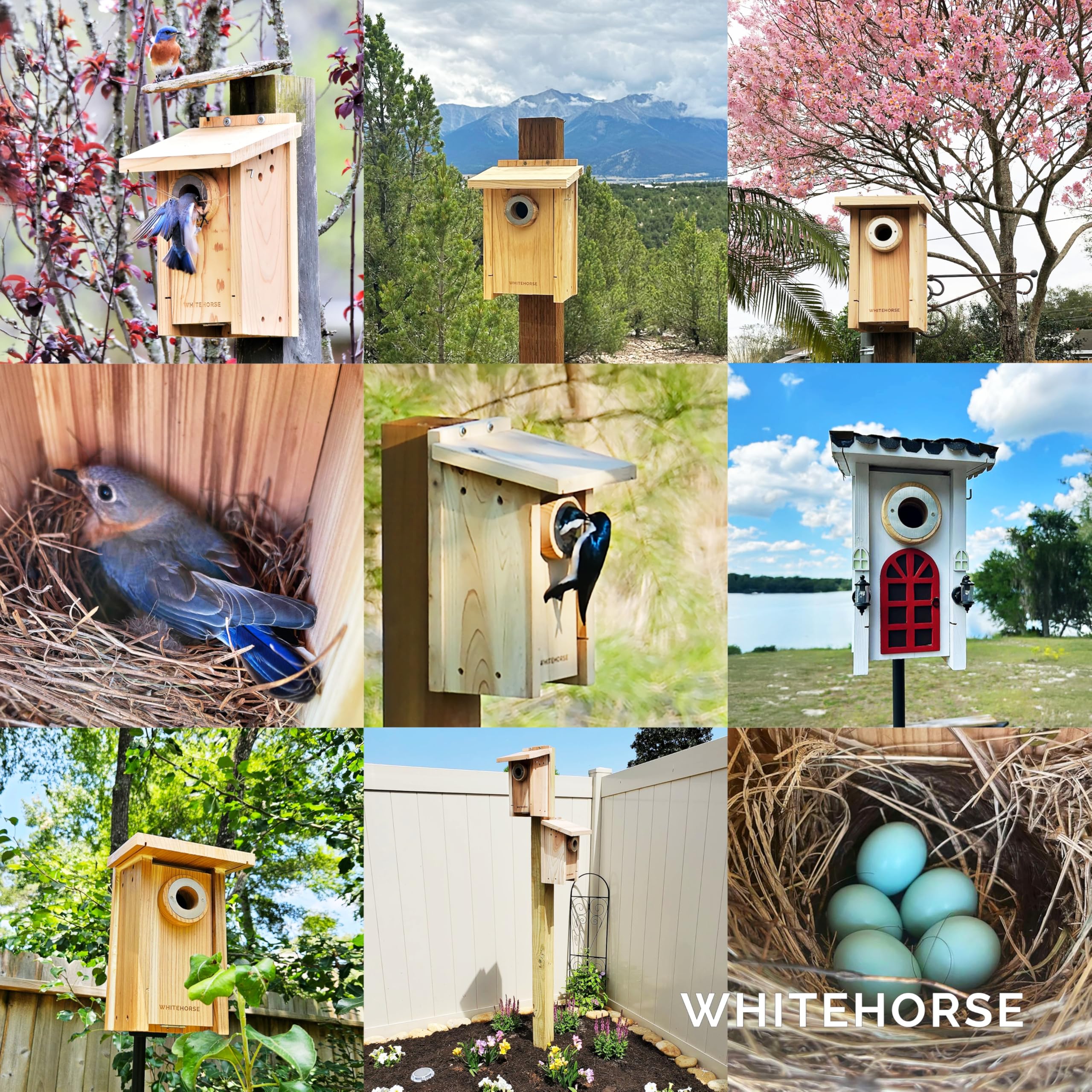 WHITEHORSE Premium Cedar Bird House - Weatherproof Design - A Nest Box Built to Certification Specs - Enjoy Bird Watching While Supporting Birds