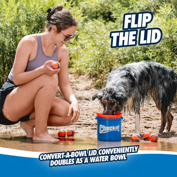 ChuckIt! Ultra Ball Dog Toy, Durable High Bounce Floating Rubber Dog Ball, Launcher Compatible Toy For Dogs, 2 Pack, Medium