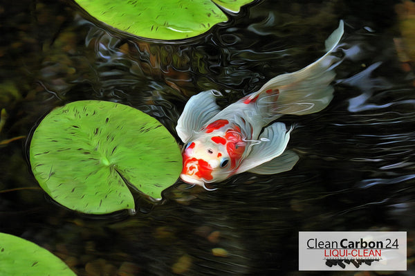 10 litres of activated carbon granulate from coconut shells for water treatment (0.6-2.36 mm/8 x 30 mesh) [energy class A]