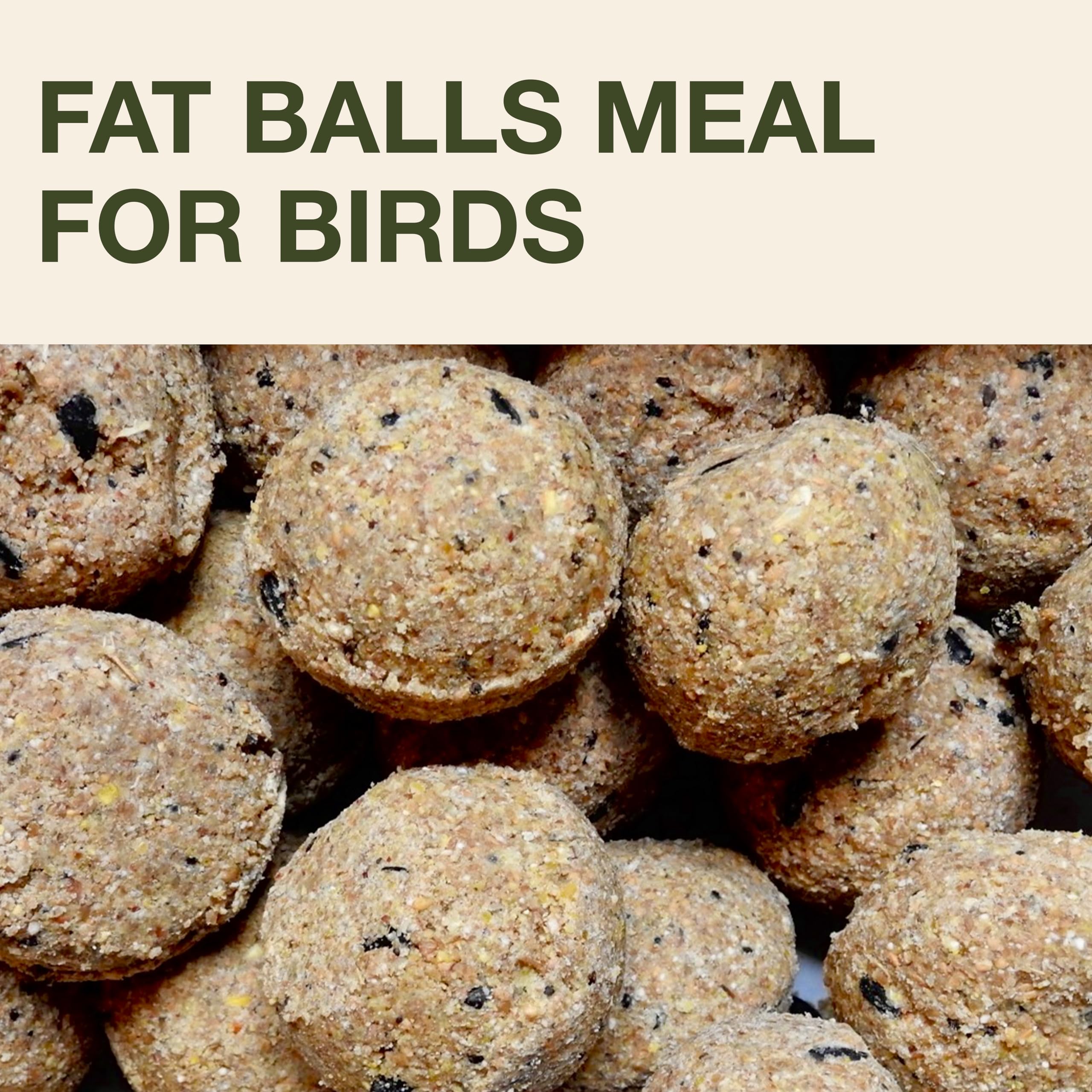 Smart Bird Feeder Lucerne | Hanging No Mess Station | Rat and Mouse Proof | Robin, Niger Seed Tray Catcher | Robust and Reliable | For Fat Balls |