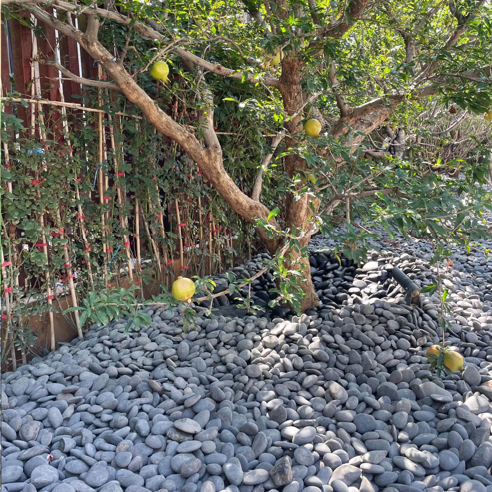 FANTIAN 20 lbs Black Stones for Garden,2-4 cm Decorative Black Pebbles for Plant Pots, Ponds, Water Features, Aquarium, Borders and Ground Cover