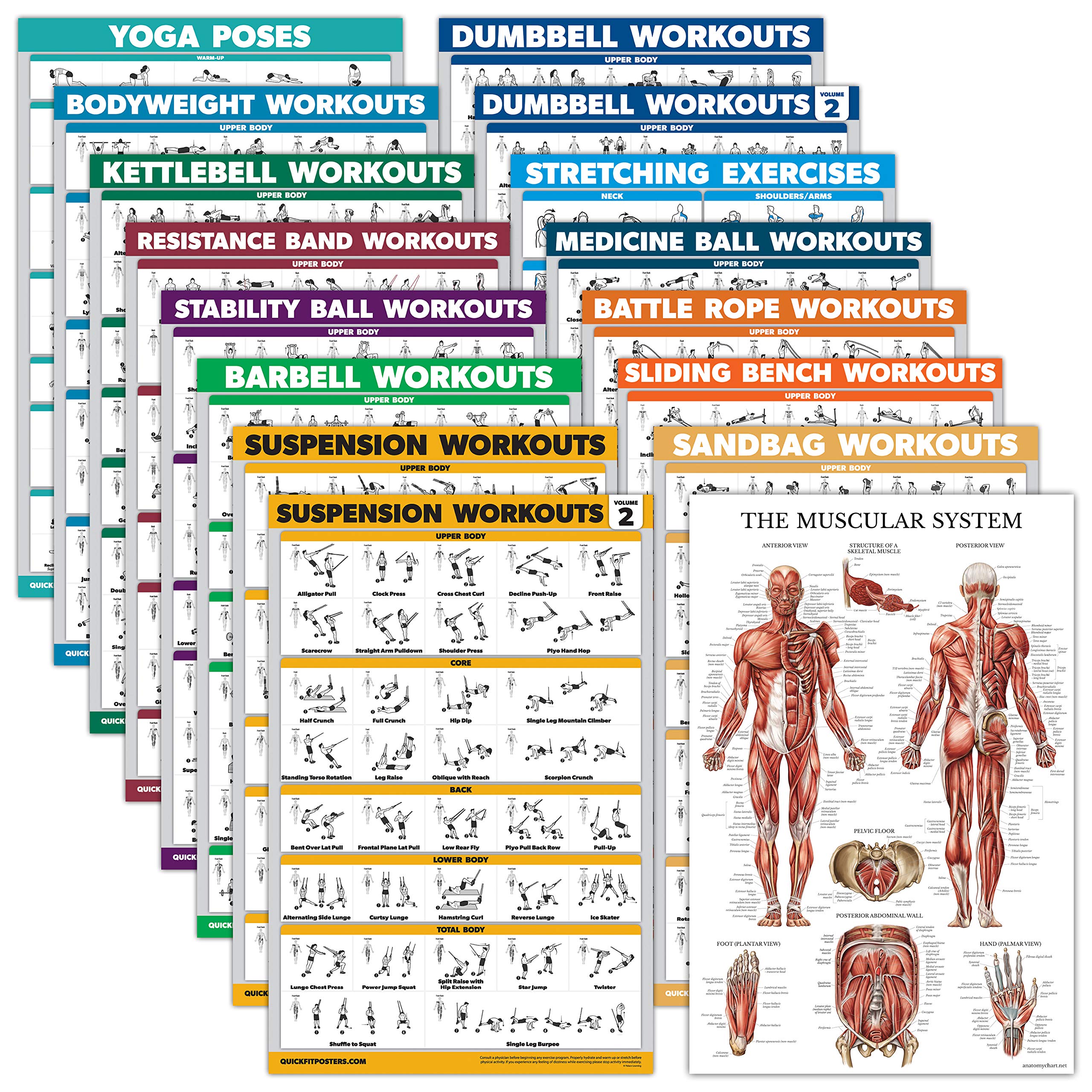 Palace Learning 16 Pack - Exercise Poster Set: Dumbbell, Suspension, Kettlebell, Resistance Bands, Medicine Ball, Battle Rope, Stretching, Bodyweight,