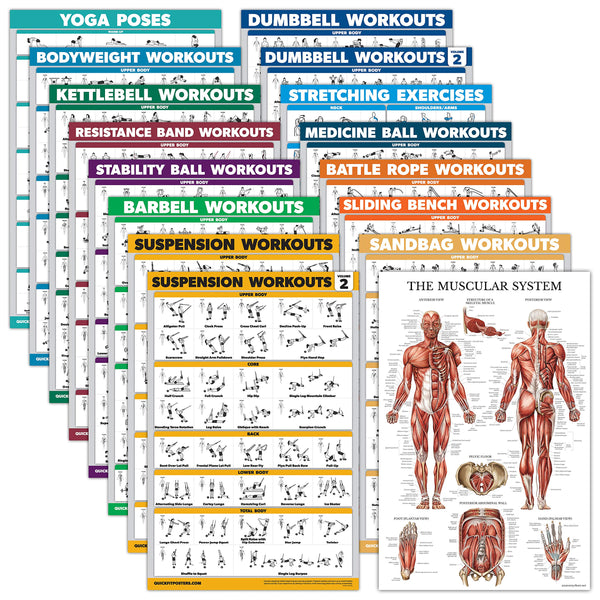Palace Learning 16 Pack - Exercise Poster Set: Dumbbell, Suspension, Kettlebell, Resistance Bands, Medicine Ball, Battle Rope, Stretching, Bodyweight,