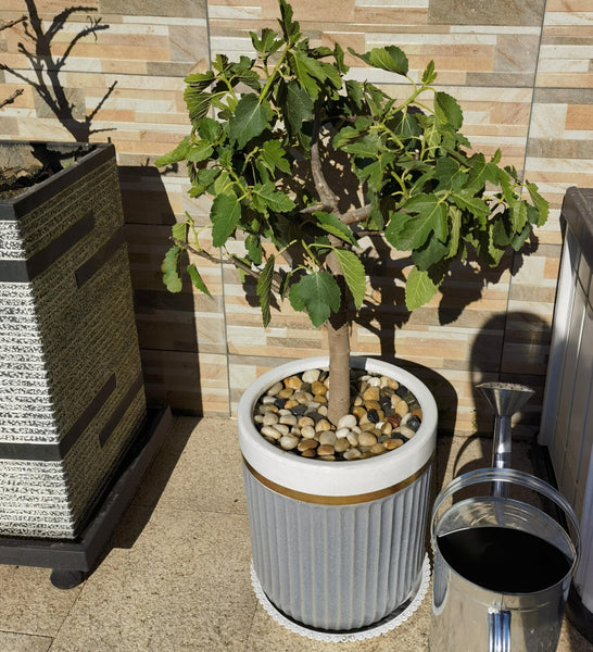 FANTIAN 9.1 kg Decorative Stones for Garden, 30-50 mm Polished Garden Rocks Pebbles for Potted Plants Landscaping Fish Tank Fountain and Outdoor