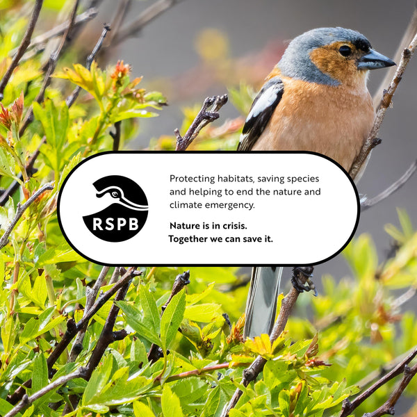 RSPB - Peanuts for Wild Birds, Wild Bird Food for Small Birds, High Energy Food, Rich in Protein and Fat, Free from Aflatoxin, Made in the UK,