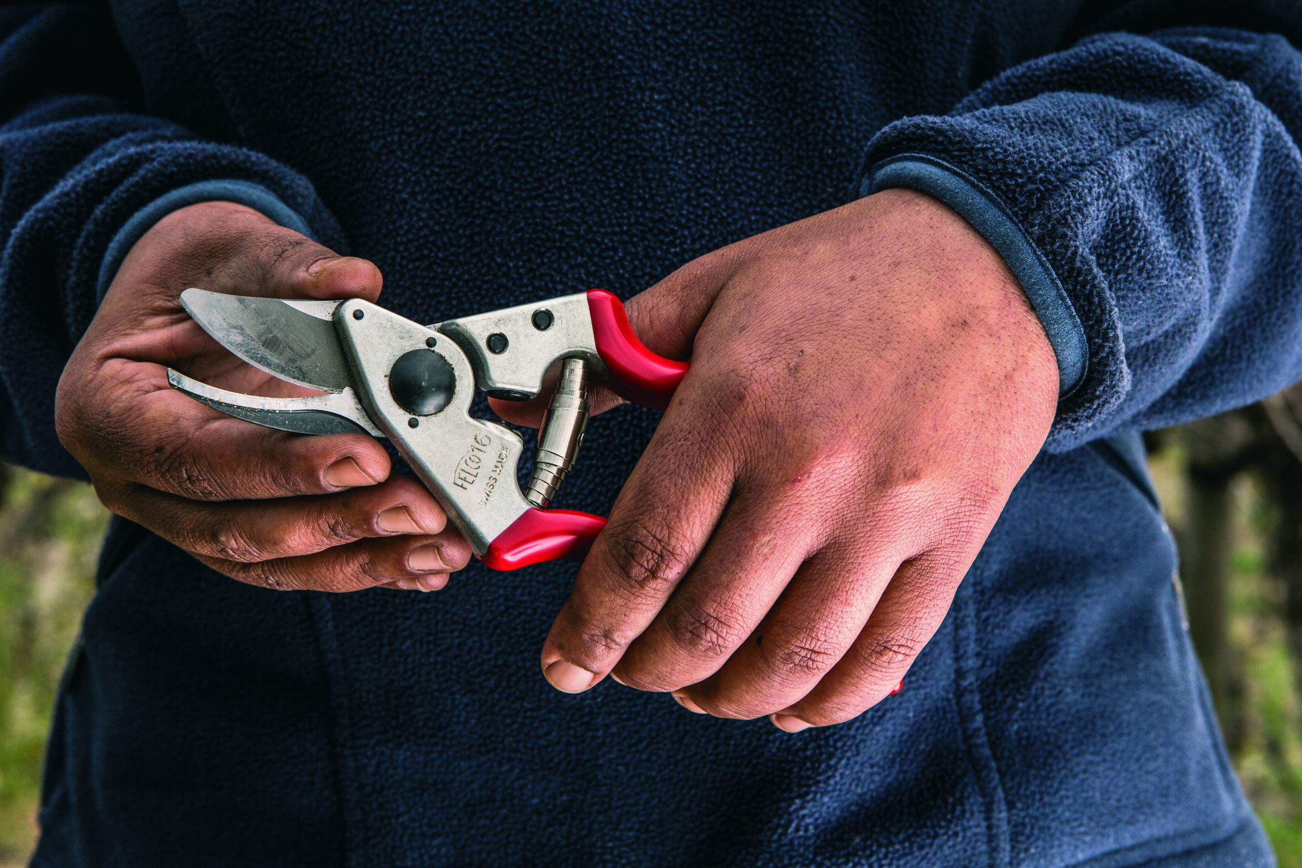 Felco FELCO16 Secateurs, Red