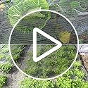 Insect Netting Mesh Garden Netting Fine Mesh Butterfly Garden Netting for Vegetables Plants Fruits Flowers Crops Greenhouse Row Covers Raised Bed Barrier Screen Birds Protection Netting (3 * 15m)