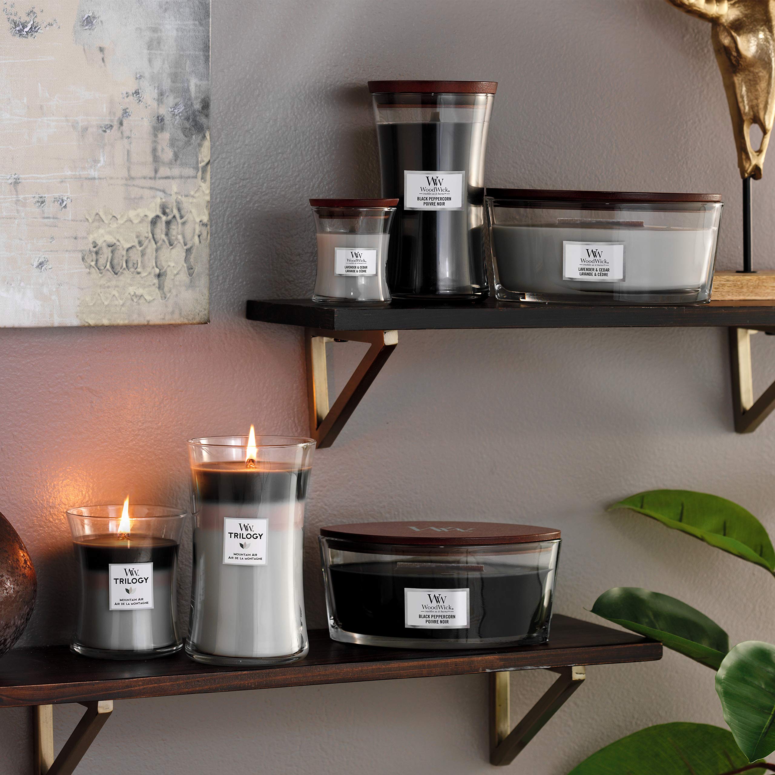 WoodWick Ellipse Scented Candle with Crackling Wick | Lavender & Cedar | Up to 50 Hours Burn Time