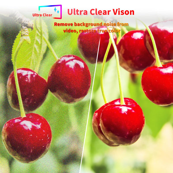 RCA RB24H2CU 24" inchFreeview HD TV DVB-T2/C/S2 Dolby Digital Audio, LED Backlighting Display, HDMI VGA PC SCART USB Travel Small TV for Motorhome and Campervan,Caravans,12 Volt