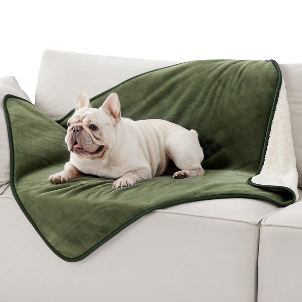 Lesure Waterproof Fleece Blanket Washable - 152x203cm Ultra Soft Grey Dog Blanket Over Sofa Bed Garden, Twin/Double Throw with Soft Plush, Fit All Season