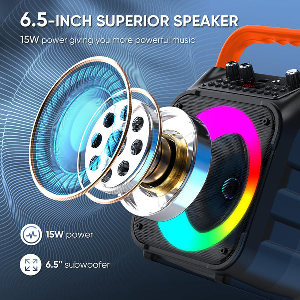 Karaoke Machine with Two Wireless Microphones, Portable Karaoke Machine for Adults & Kids, Portable Bluetooth Speaker with PA System, LED Lights, Supports TF Card/USB, AUX in, FM, USB,TWS (Black)