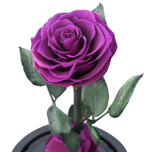 Eternal Forever Rose | Fresh Rose Gift | Single Rose Preserved for 5 Years | Handcrafted | Gifts for Women Birthday unique Unusual | Mothers Day,