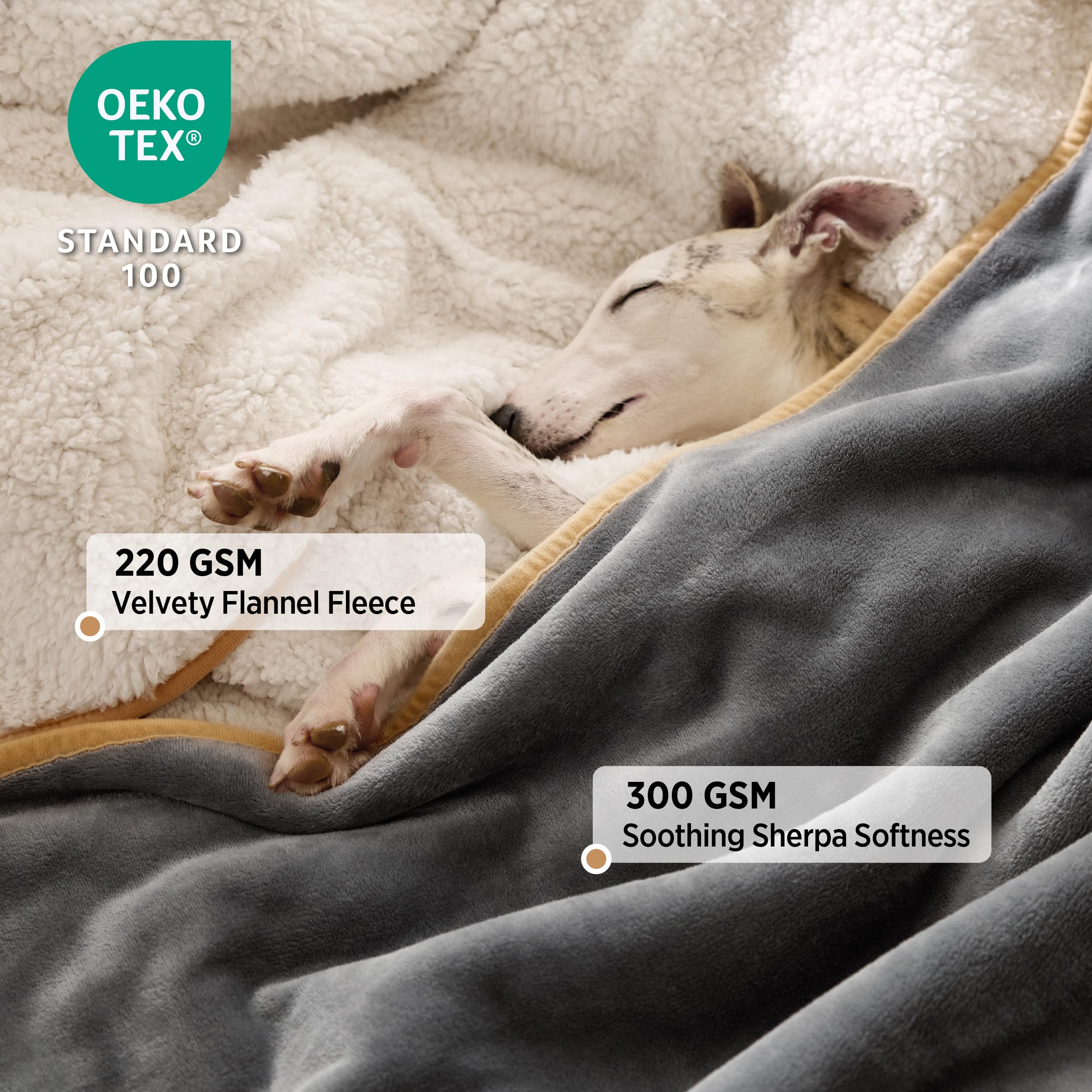 Lesure Waterproof Fleece Blanket Washable - 152x203cm Ultra Soft Grey Dog Blanket Over Sofa Bed Garden, Twin/Double Throw with Soft Plush, Fit All Season
