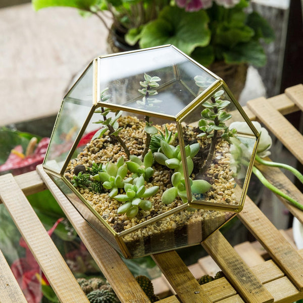 NCYP Geometric Glass Terrarium for Succulent - 17.5x17.5x15 cm Small Ball Shape Glass Display Planter Pot - Wedding Tabletop Centerpiece - Indoor Brass Decor, Gold (No Plants)