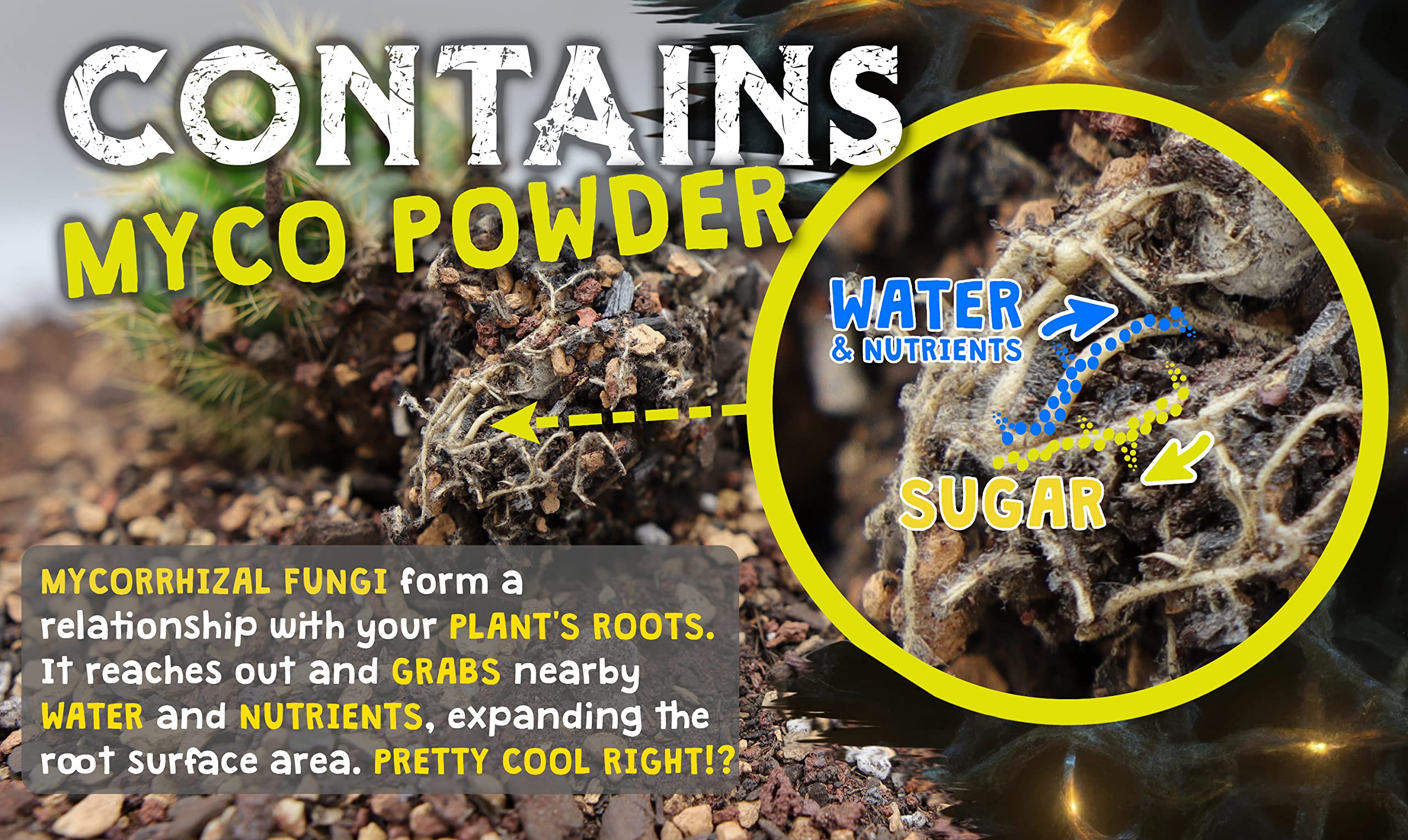 High Drainage Cactus Soil Potting Mix with Mycorrhizal Fungi - 8 Pounds / 4 Quarts of Soil for Succulents and Cactus - Slightly Acidic, Gritty Soil