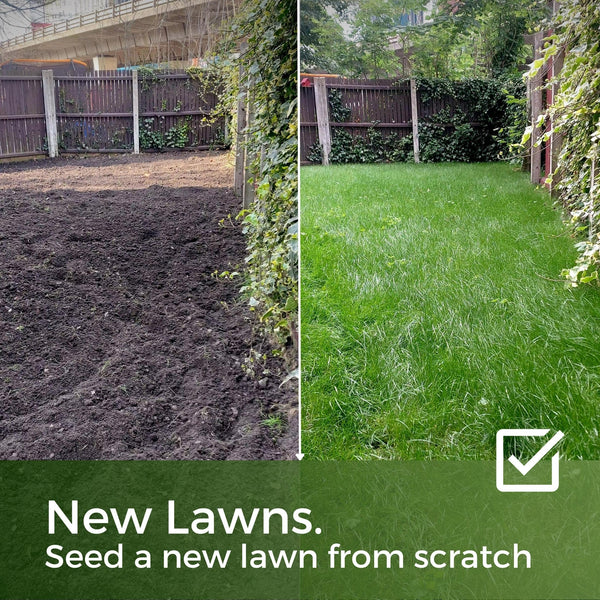 Fast Growing Grass Seed UK - Repair Lawns and Patches Quick - Pet Friendly & Hardwearing - 10kg - Garden Lawncare Guy