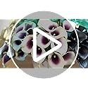 FiveSeasonStuff 10 Stems of Real Touch Calla Lilies Artificial Flower Bouquet, Perfect for Wedding, Bridal, Party, Home Office Décor DIY (Totally Dark Magenta)