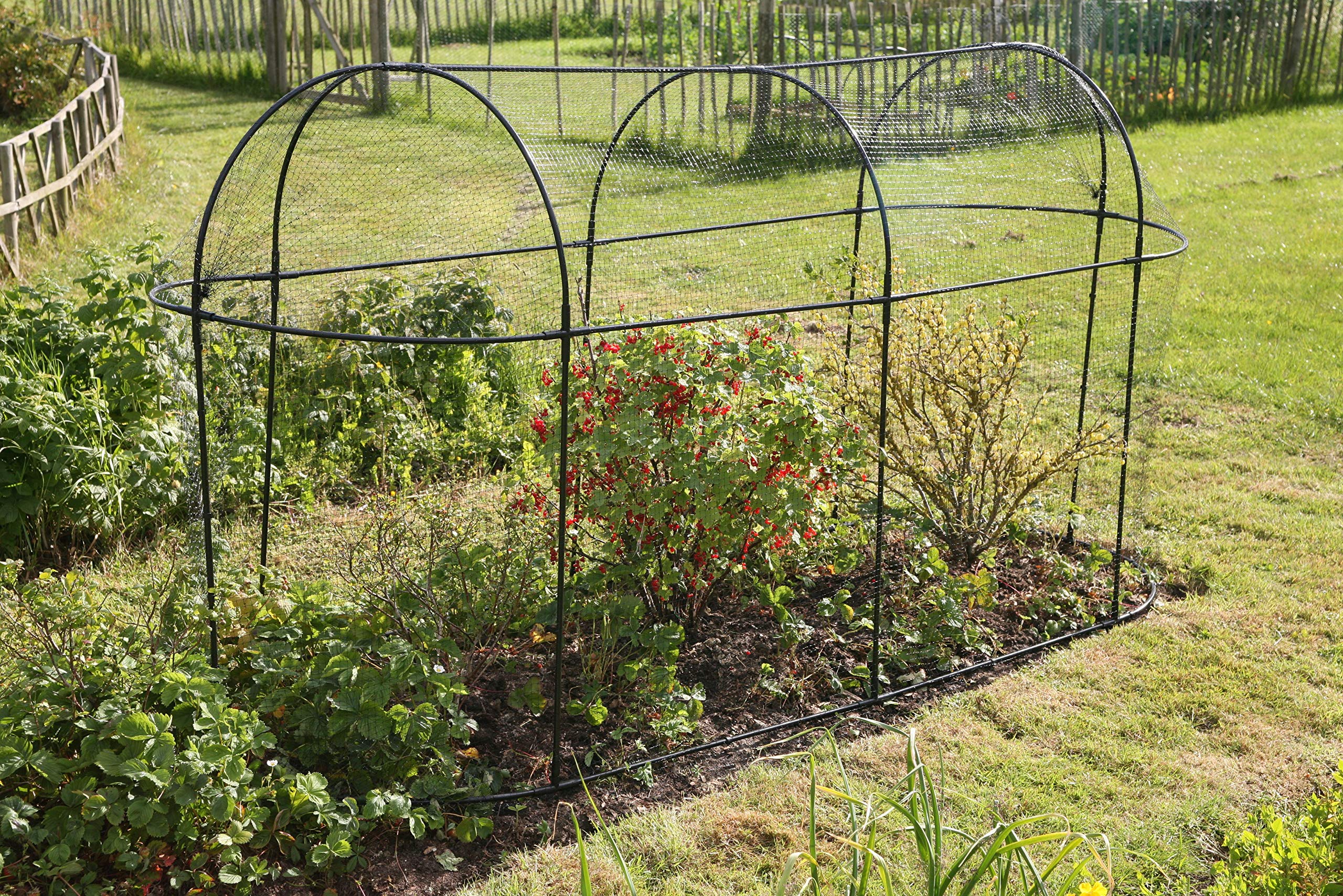 Haxnicks Steel Long Fruit Cage Frame | Bird Netting Plant Protection For Fruit Bushes | Gooseberry Currants Raspberries | Black, 300 x 100 x 150cm