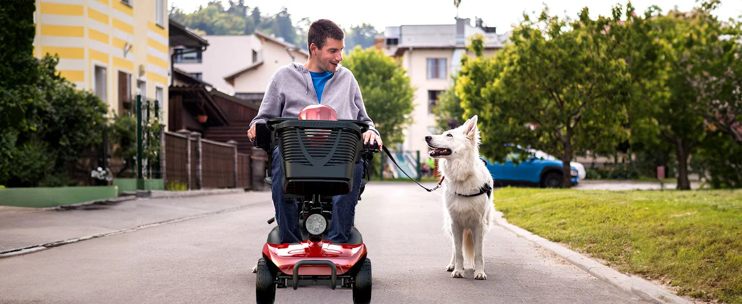 iscooter X02 Electric Mobility Scooter - 250W Power | 12Ah Battery | 5Mph Speed | 12Mi Range - One Size - Escooter Clinic