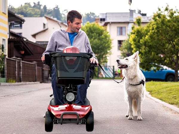 iscooter X02 Electric Mobility Scooter - 250W Power | 12Ah Battery | 5Mph Speed | 12Mi Range - One Size - Escooter Clinic