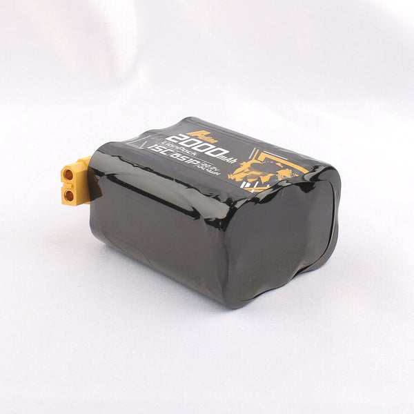 AuLine 2000mAh 6S 22.2V 15C XT60 18650 Li-Ion Battery
