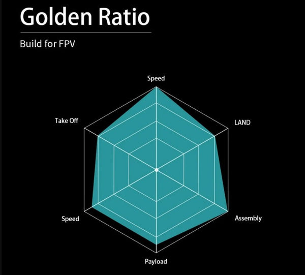 AtomRC Dolphin FPV RC Aircraft