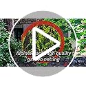 AlpineReach Garden Netting 2m x 20m Extra Strong Woven Mesh Bird Netting Heavy Duty Kit - Protect Plants & Fruit Trees Against Animals & Deer Fencing Protection - Reusable with Cable Ties, Black