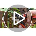 AlpineReach Secateurs Set Bypass and Anvil for Gardening, Sharp Ergonomic Pruners, Adjustable Soft Handle for Small & Large Hands, Heavy Duty High Carbon Steel Blade Pruning Shears, Gift Box