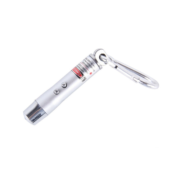 2pcs Outdoor Keychain Metal Shell Mini LED Flashlight Laser Light with Money Detecting