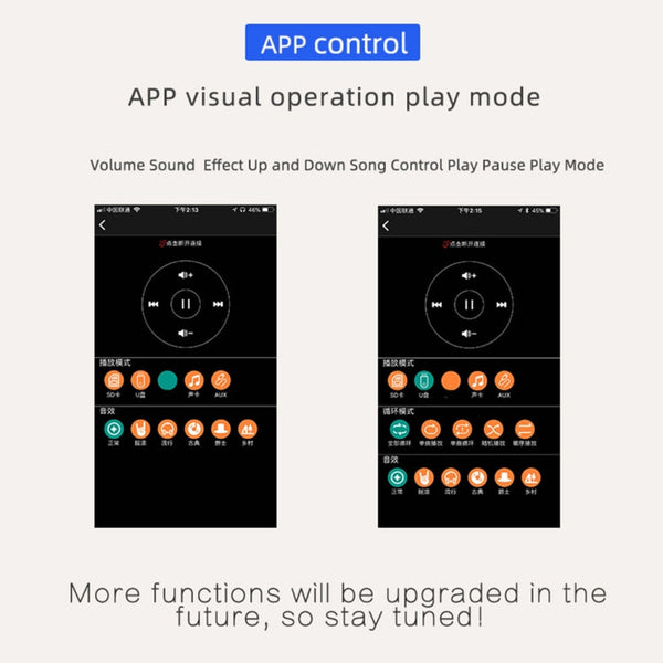 XY-C15H 20W Dual Channel HIFI Bluetooth 5.0 Stereo Digital Audio Power Amplifier Board with Shell, with Shell