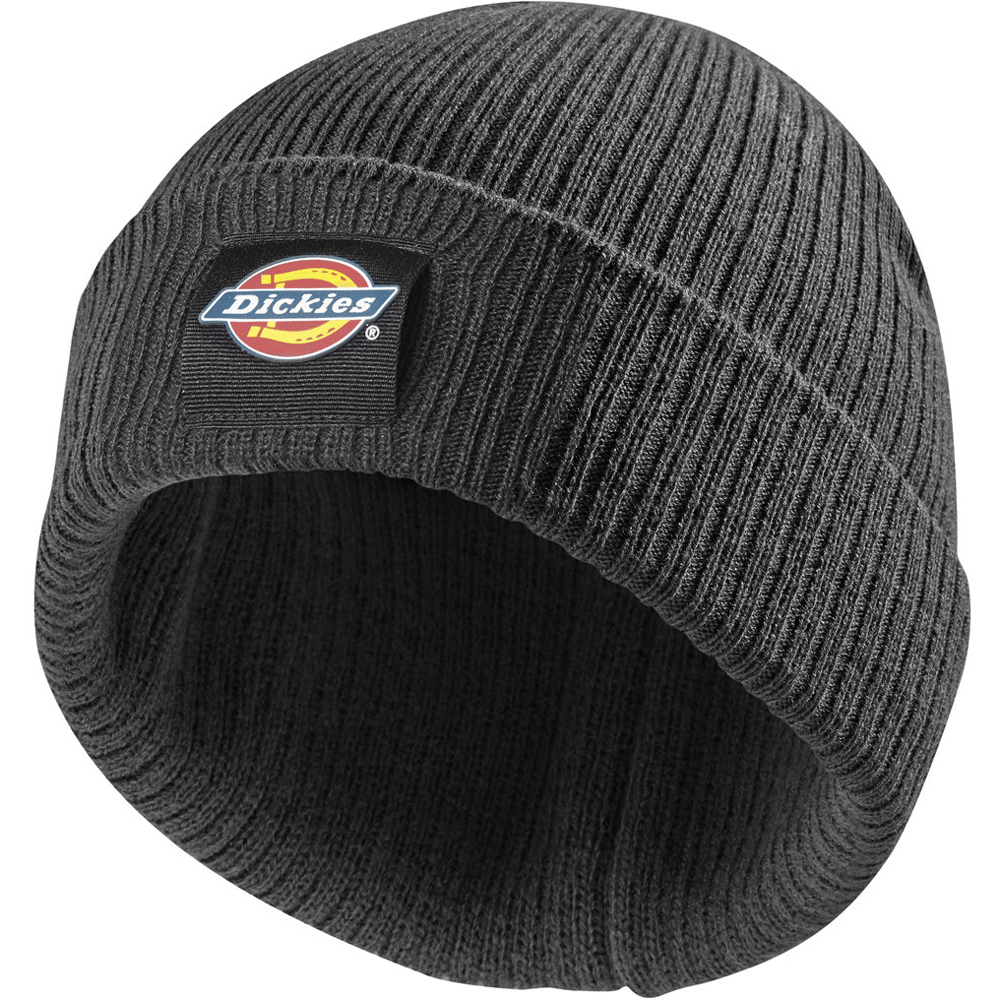 Dickies DT8003 22 Evadale Logo Beanie Various Colours