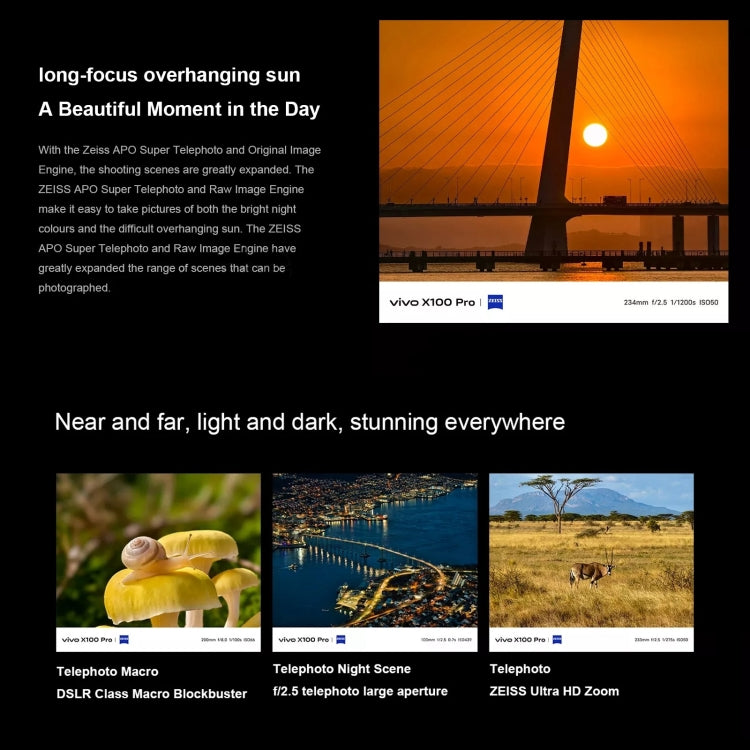 vivo X100 Pro, Face ID / Fingerprint Identification, 6.78 inch Android 14 OriginOS 4 Dimensity 9300 Octa Core 3.25GHz, OTG, NFC, Network: 5G