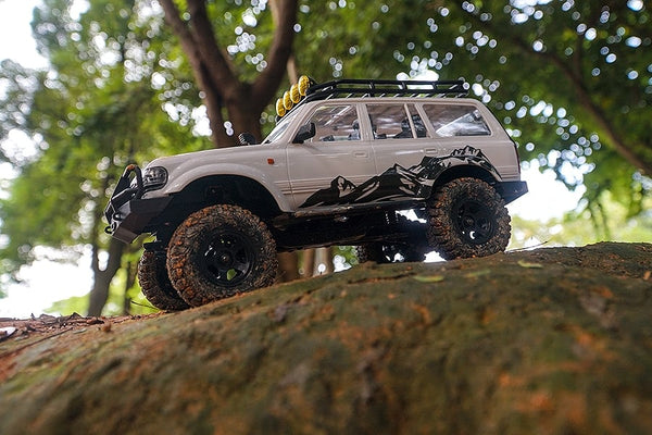 Eazy RC 1/18 Patriot RTR RC Rock Crawler Land Cruiser Truck