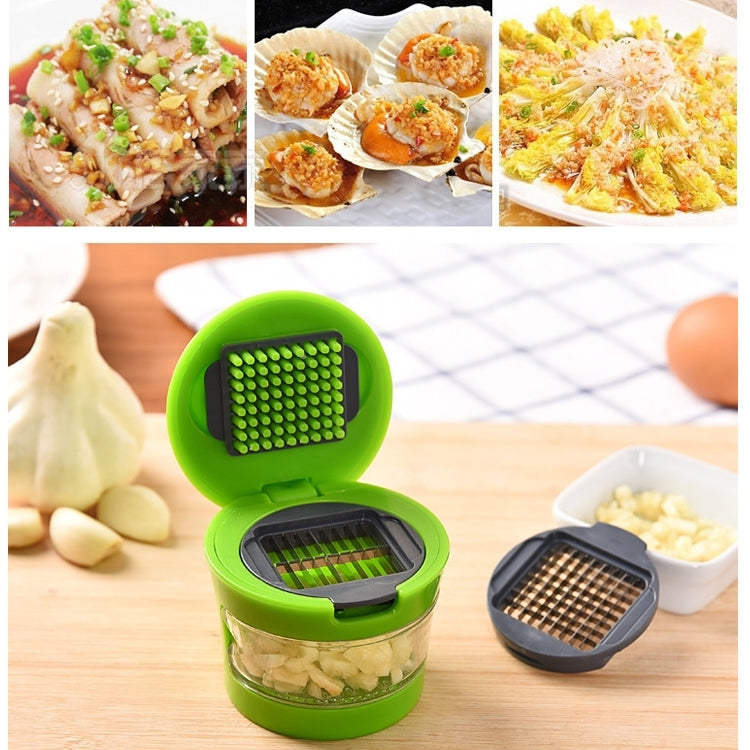 2 PCS Multi-purpose Mini Kitchen Tool Vegetable Garlic Manual Slicer Cutter Chopper Random Color Delivery, Mini Garlic Crusher