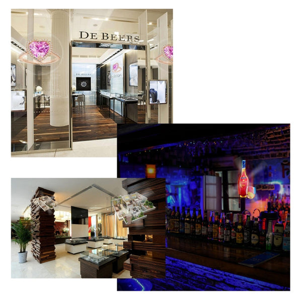 224 LEDs Hologram Holographic Display Fan with Remote Control, Support 4GB Micro SD Card, AC 100-240V, 450 x 224 Pixels