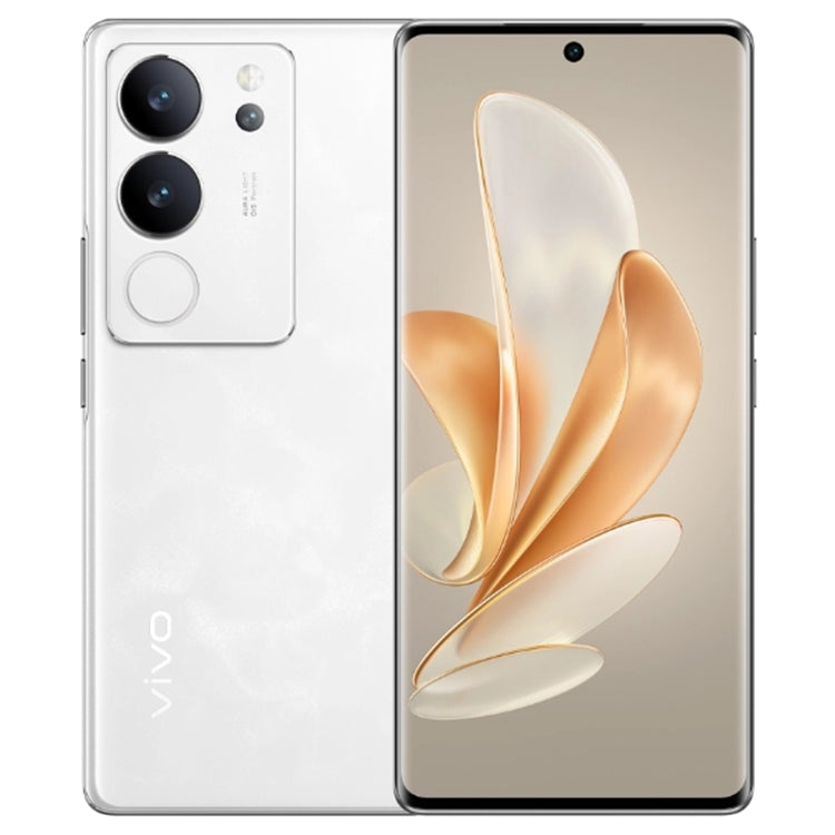 Triple Back Cameras, Srceen Fingerprint Identification, 4600mAh Battery, 6.78 inch Android 13 OriginOS 3 Dimensity 8200 Octa Core up to 3.1GHz, OTG, NFC, Network: 5G