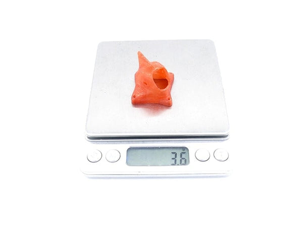 Roach 2.5" Toothpick 🦷 Frame