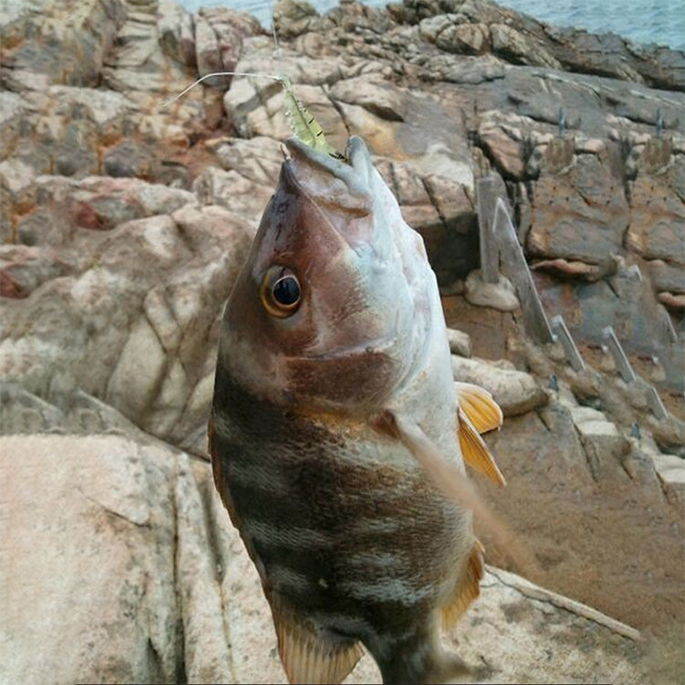 10 PCS 4cm Fishing Soft Artificial Shrimp Bait Lures Popper Poper Baits with Hook, Artificial Shrimp with Hook, Luminous Shrimp with Hook, Pink Shrimp with Hook, Green Shrimp with Hook, Transparent Shrimp with Hook