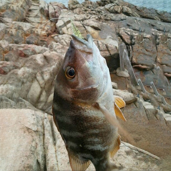 10 PCS 4cm Fishing Soft Artificial Shrimp Bait Lures Popper Poper Baits with Hook, Artificial Shrimp with Hook, Luminous Shrimp with Hook, Pink Shrimp with Hook, Green Shrimp with Hook, Transparent Shrimp with Hook