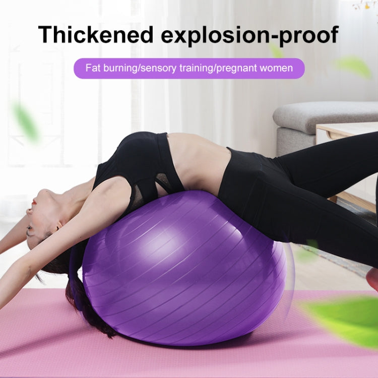 Thickening Explosion-proof Big Yoga Ball Sport Fitness Ball Environmental Pregnant Yoga Ball, Diameter: 65cm, 65cm(Blue), 65cm(Purple), 65cm(Pink)