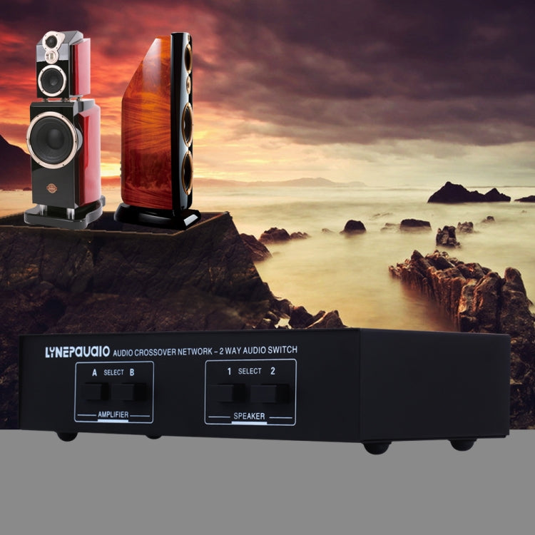 B822 Passive Speaker Switch 2 Channel Power Amplifier Audio Switch Loudspeaker,  2 Input and 2 Output