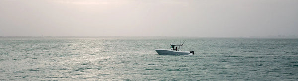 Scanstrut Scanstrut ROKK Mini Screw Down Base SRLS | 401 | 4Boats