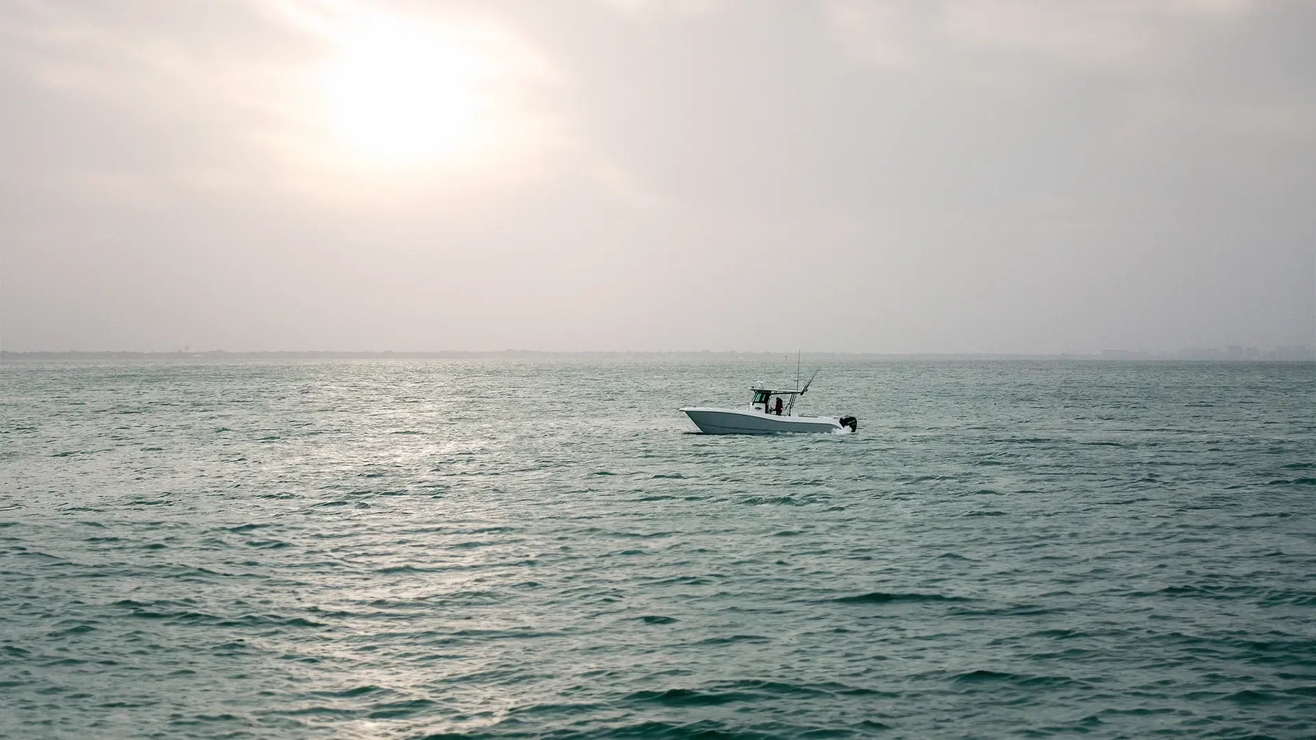 Low Profile 30 Stainless Steel