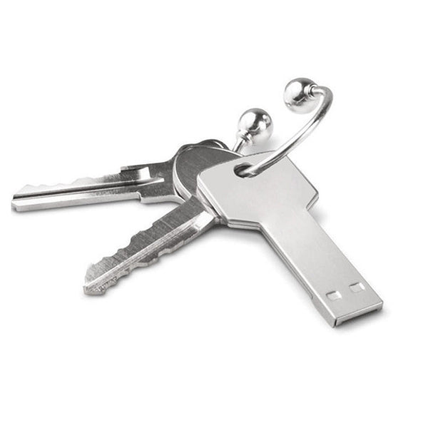 2GB Key USB Flash Disk, 2GB, 4GB, 8GB