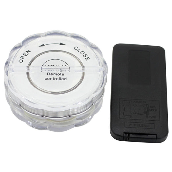 10-LED with Remote Control