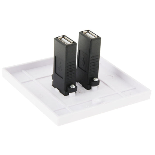 Dual USB 2.0 Female Plugs Home Wall Charger Plate Wall Plate Panel, 2 Ports USB 2.0